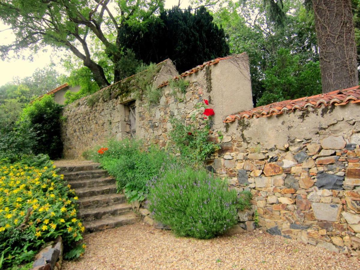 Magnificent Holiday Home With Pool Saint-Paul-du-Bois Oda fotoğraf